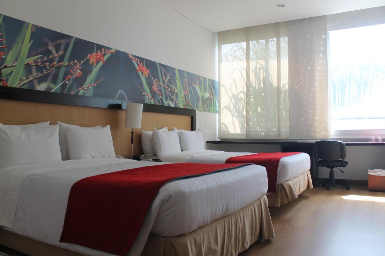Mi Hotel Sandiego 메딜린 외부 사진